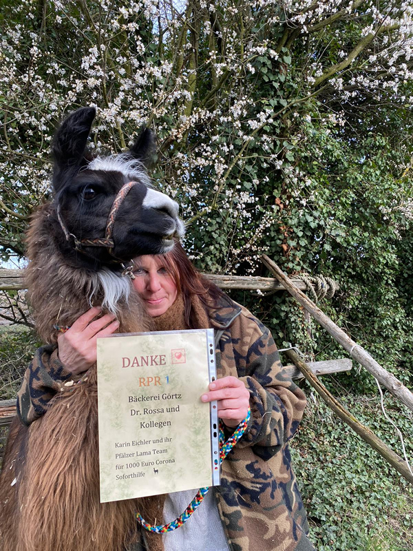 2021-05_0800px-h_Knuffi RPR12.jpg